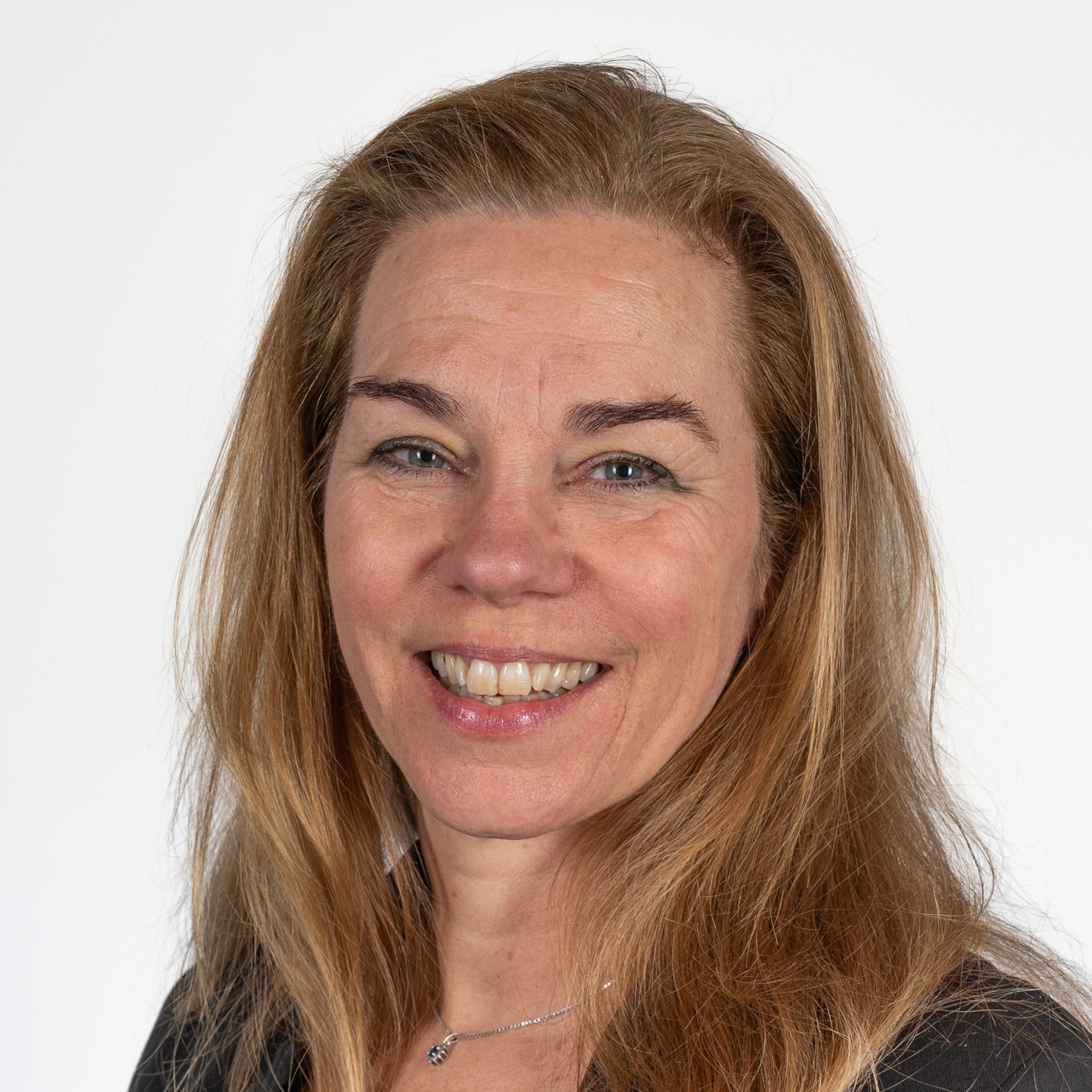 Ontwikkeling tot therapeut